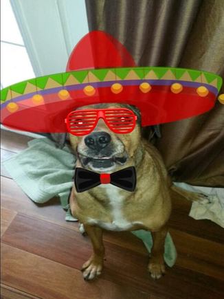 665952 434869026577298 179652650 o