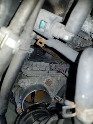 How do i remove the throttle position sensor?

Do i just remove the black piece (and how? I dont see ant any screws attached to it). Or do i have to remove the entire bigger sliver plate its sitting on? 