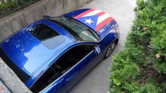 all decked out for the Puerto Rican Day parade