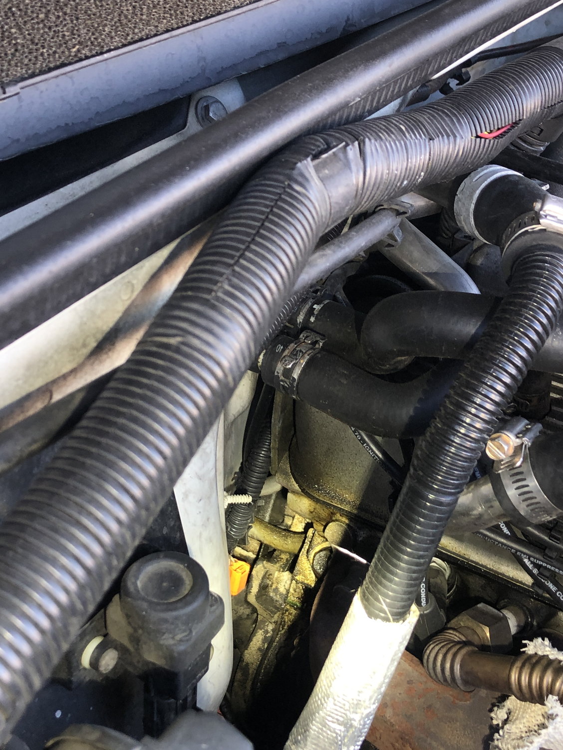 How to Recognize and Locate an Antifreeze Leak