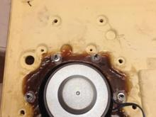 28 Peerless mounted in fiberglass