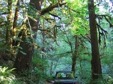 Cascades camp 3