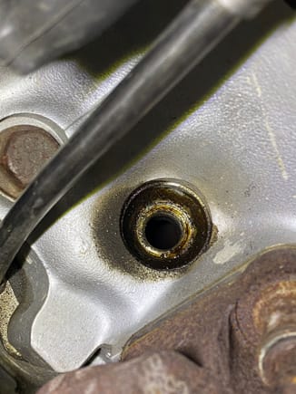 Oil around plug holes on drivers side