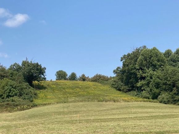 Cannot hay the upper portion -- too steep to run the tractor safely