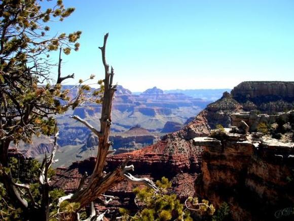 Grand Canyon