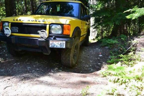 Lake Wenatchee forest roads