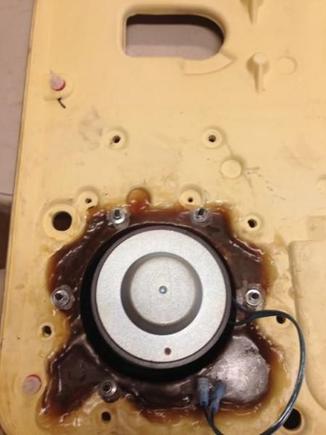 28 Peerless mounted in fiberglass