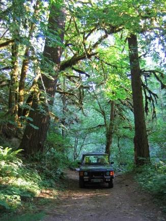 Cascades camp 3