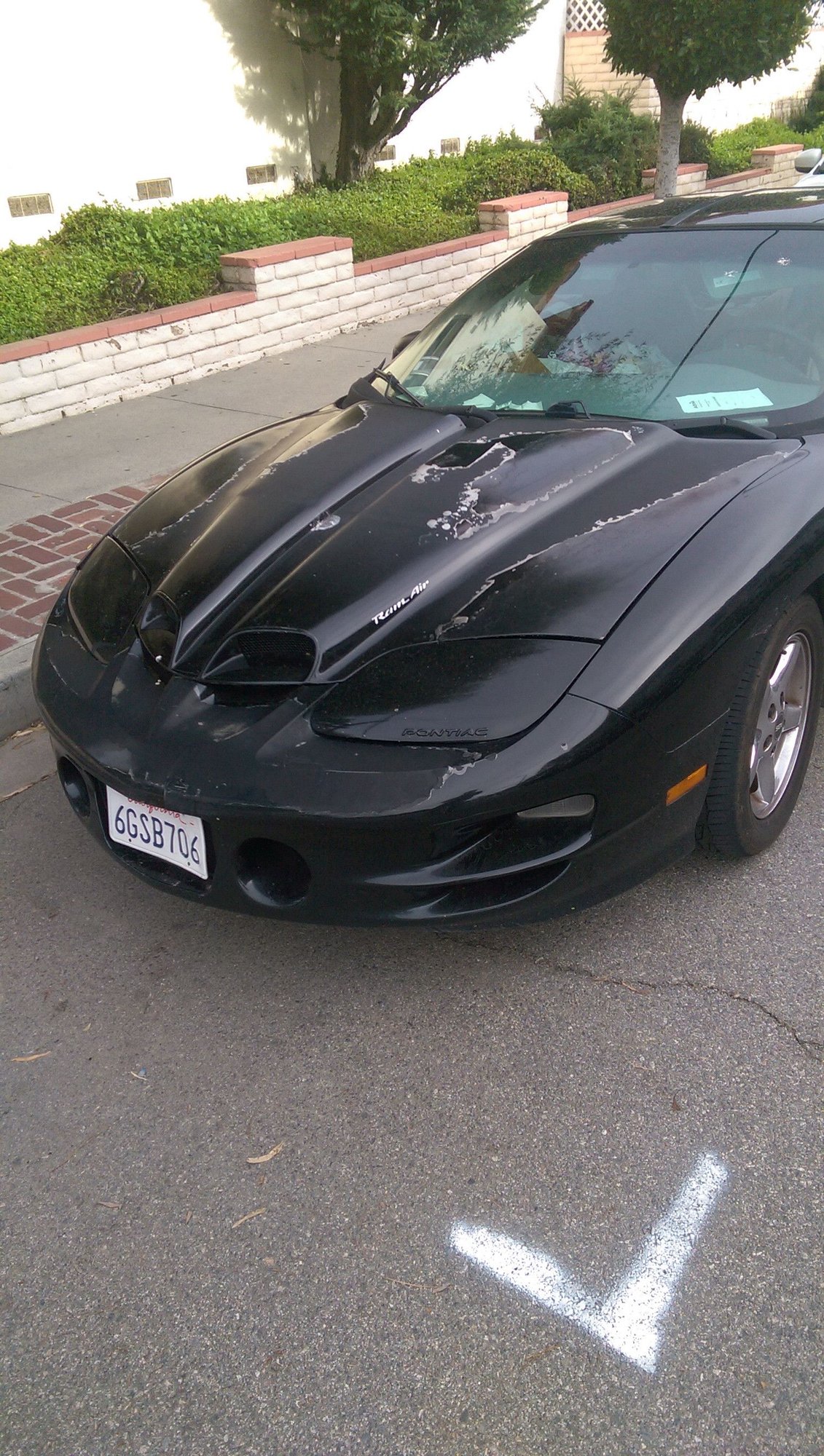 1999 Pontiac Firebird - Rough-looking Trans Am, Priced to Sell Now - Used - Los Angeles, CA 90066, United States