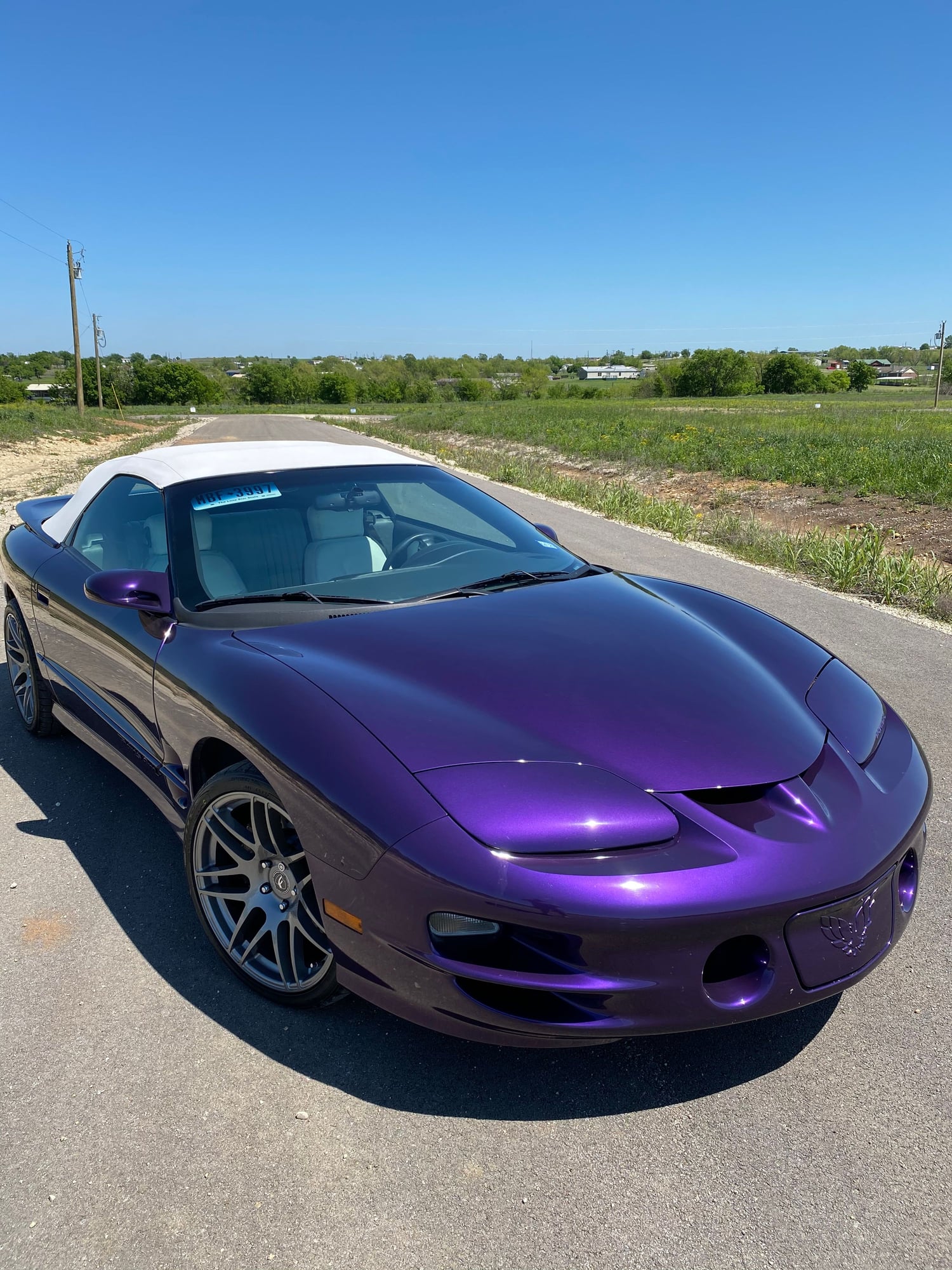 1998 Pontiac Firebird - BPM Trans Am Vert for sale - Used - VIN 2G2FV32G7W2217497 - 50,846 Miles - 8 cyl - 2WD - Automatic - Convertible - Purple - Joshua, TX 76058, United States