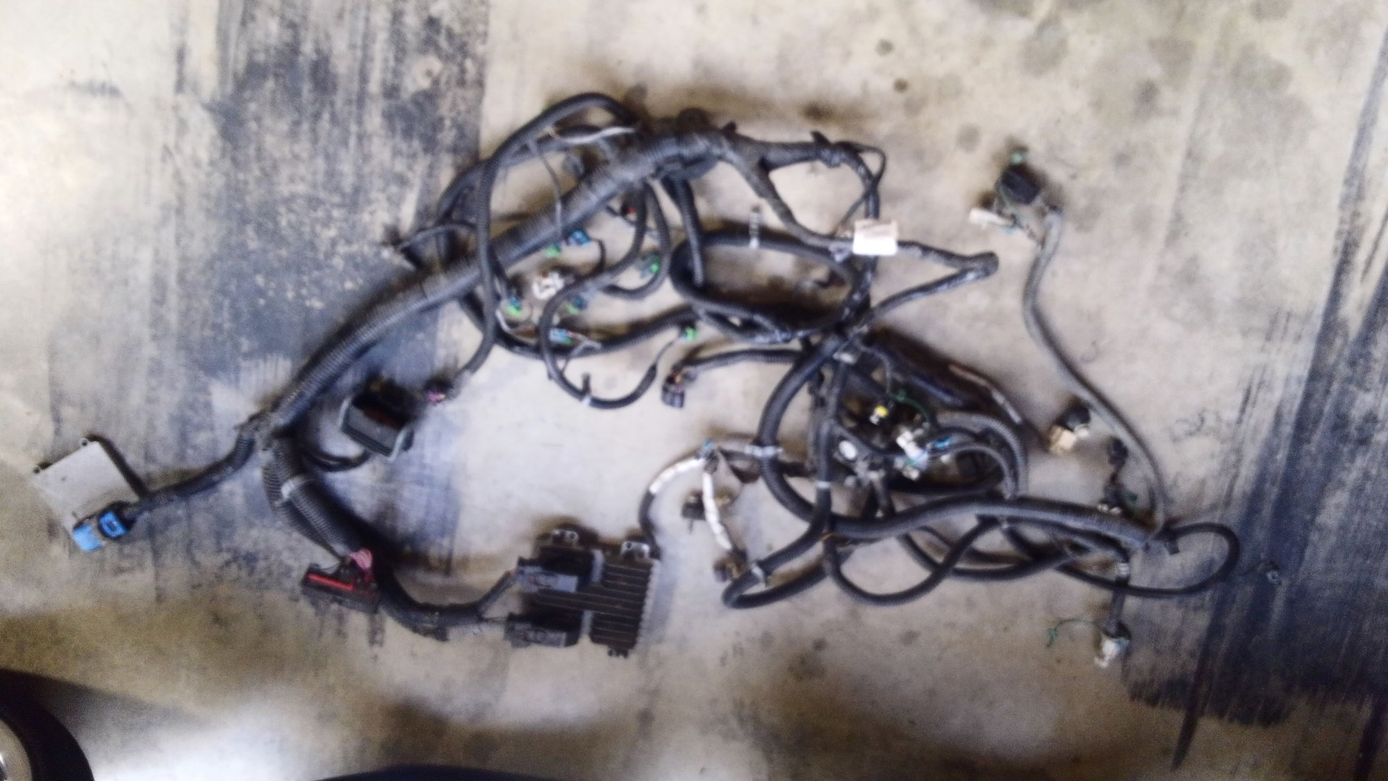  - 2008 non dod,non afm, uncut clean 4.8L harness ecu, tcm - Slippery Rock, PA 16057, United States