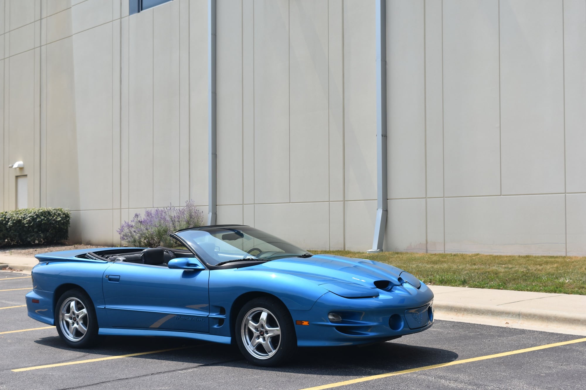 1999 Pontiac Firebird - 1999 Trans AM Convertible - Medium Blue Metallic 1 of 24 - Used - VIN 2G2FV32G0X2233154 - 90,500 Miles - 8 cyl - 2WD - Automatic - Convertible - Blue - Lake Zurich, IL 60047, United States