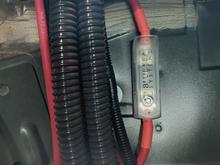 Haltech 100 amp fuse.