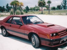 Parked by a favorite fishing spot along the Gulf Coast of FL in our '82 Mustang GT in the early 80's.