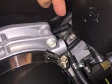 Purge valve cap