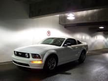 My 2005 Mustang ( Sold )