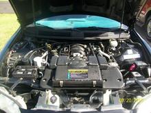 ls1 all stock