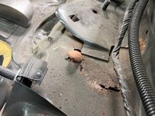 Hatch View Driver