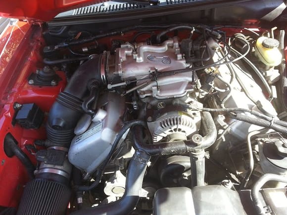 Stock 4.6L 4V cobra engine