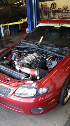 Made 470hp and 440tq to the tire prc heads, cam,  intake and exhaust. t56 tranzilla