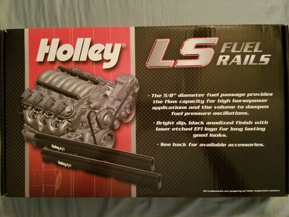Holley LS fuel rails with crossover kit. Comes with multiple fittings and braided fuel line. Heard some bad things about the Fast rails and a bunch of good things about these.