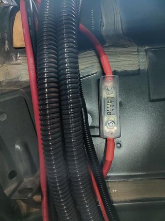 Haltech 100 amp fuse.