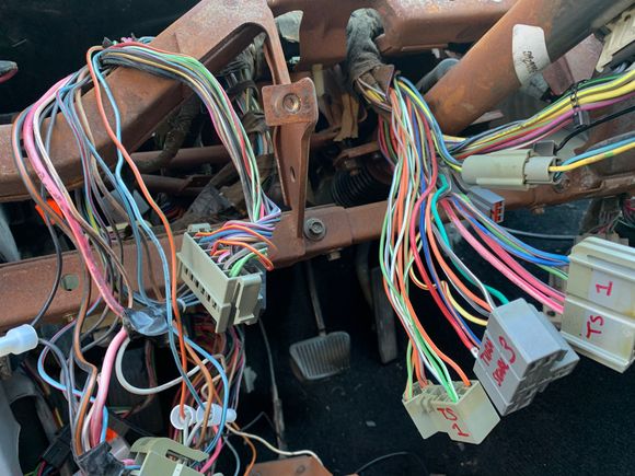 I've labeled the many, many electrical connectors to help during reassembly.