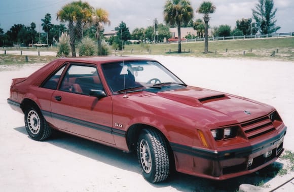 Parked by a favorite fishing spot along the Gulf Coast of FL in our '82 Mustang GT in the early 80's.