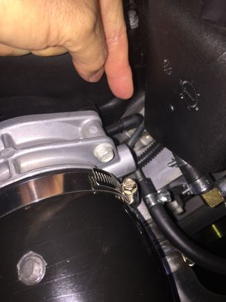 Purge valve cap