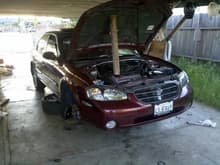 working on the maxima