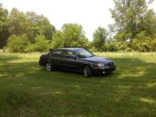 finally got her tinted...