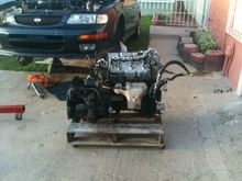 photo 2(10)