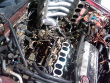 Doing rear valve cover gasket