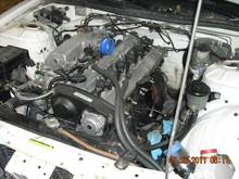 DSCN4344