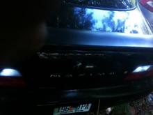 The Reverse Lights On The 95 Max