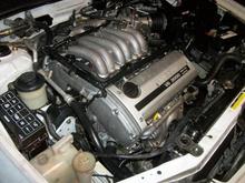 maxima5 004