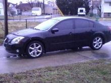 My maxx nite rider