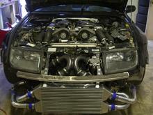 TTZ with fresh rebuild