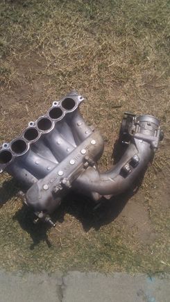 (5) After assuming the obvious; that the screws have been sucked down the intake and toward the valves, i removed the upper intake manifold to search it for the screws and to get in deeper (yesssss) (a sexual yessssss lol) to look for the tiny bastards and inspect the lower parts for any obvious damage if the screws didnt fall out of this manifold. ..no screws.
