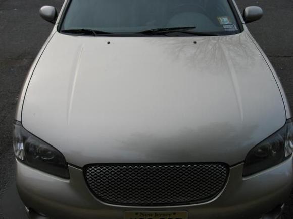 Projector headlights