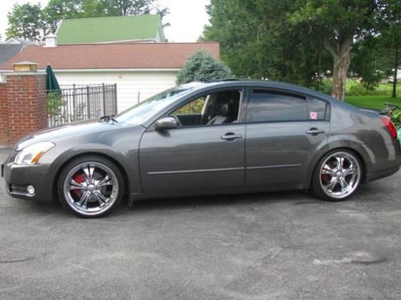 New Tint 4
