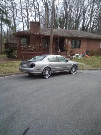 bac shot of the whip