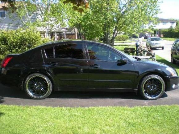 whip3