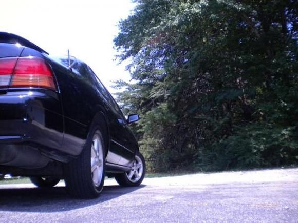 Maxima1
