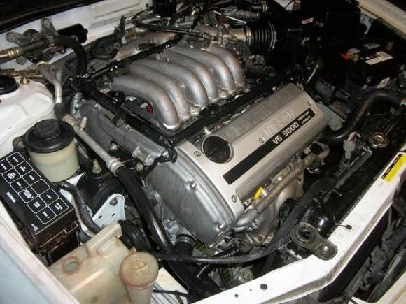 maxima5 004