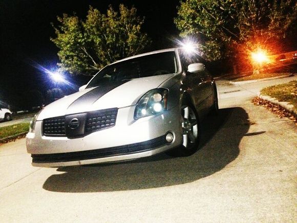 IMG 2348 1