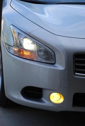 Nokya Fogs