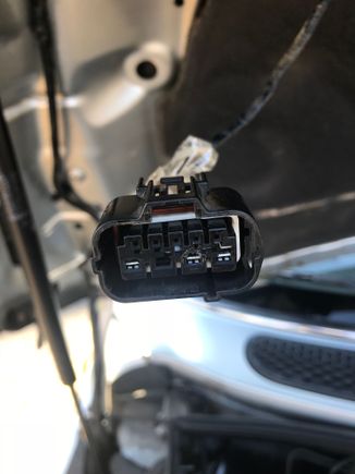 This connects from the wiring harness to the headlight. Having a very hard time finding one. Can anyone help? 2003 Mini Cooper base model