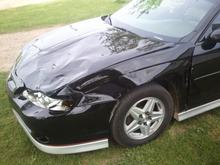stupid deer!