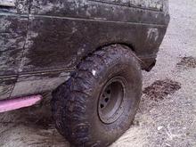 39.5s stuffed